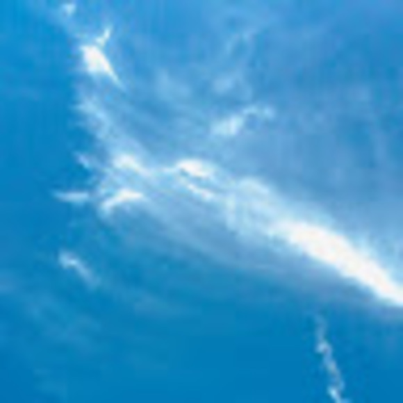 Meet your Posher, Jessa - Picture 1 of 1